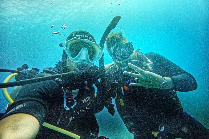 Island Wreck and Reef Scuba Excursion - Is $185 a fair price?