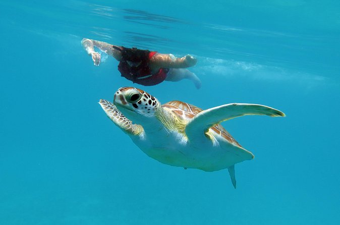 Kayak and Sea Turtle Snorkel with Beach Break - Who will enjoy this St. Thomas excursion
