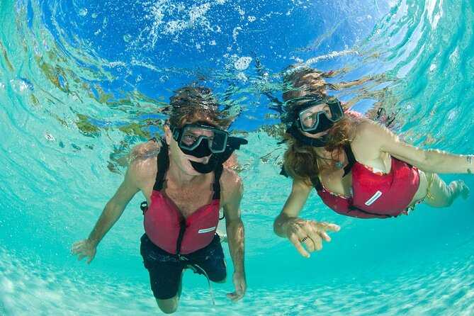 Kayak & Snorkel with Sea Turtles, National Park, St. John - From Cruz Bay to Honeymoon Beach