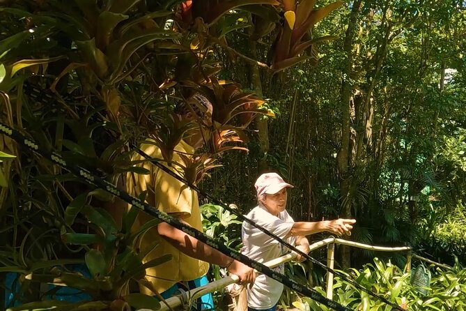 Luxury Private Tour in ST.Thomas(6per group) - Mountain Top adds souvenirs and a banana daiquiri
