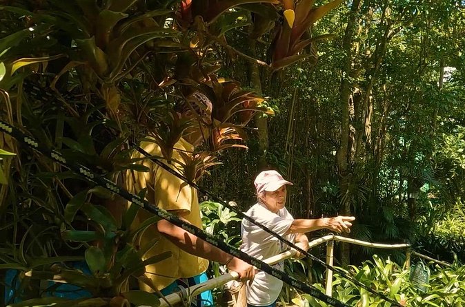 Luxury Private Tour in ST.Thomas(6per group) - Magens Bay is the payoff, but timing matters