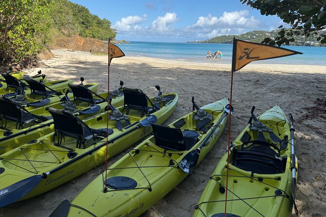 Magens Bay Nature Walk & premium hands-free Hobie Kayak Adventure - Key points before you book