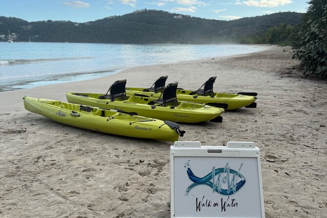 Magens Bay Nature Walk & premium hands-free Hobie Kayak Adventure - Wildlife without the pressure of a wildlife tour