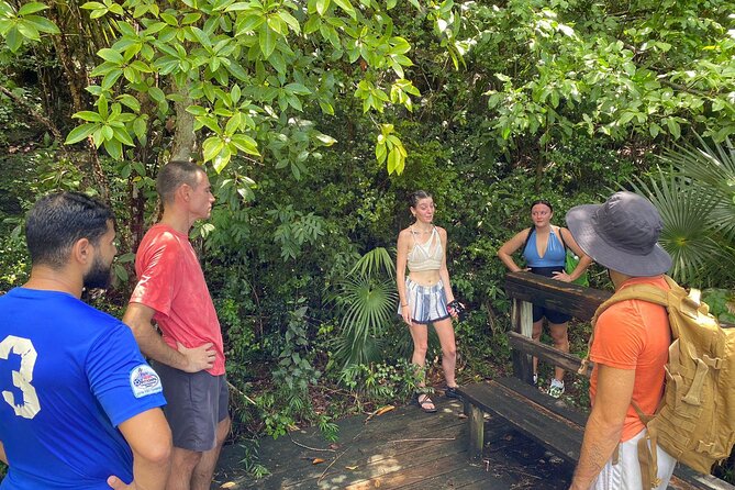 Magens Bay Trail Hiking Tour - Key points at a glance