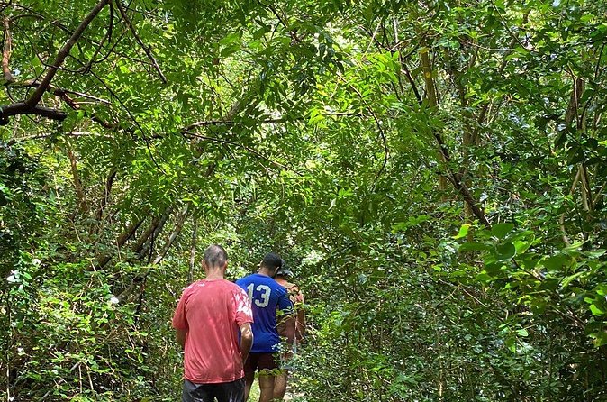 Magens Bay Trail Hiking Tour - Arriving at Magens Bay Beach