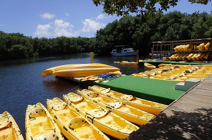 Mangrove Lagoon Kayak Rental in St Thomas - What the guides add when you want more context