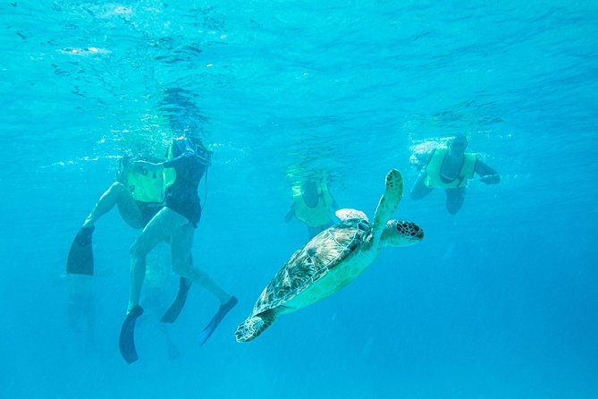 National Park Snorkeling Excursion - The essentials at a glance