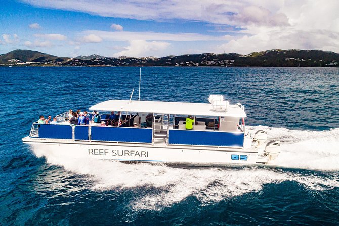 National Park Snorkeling Excursion - The wildlife is the star, but nature sets the rules