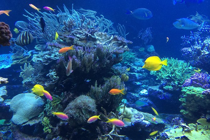 National Park Snorkeling Excursion - Is $90 a good price?