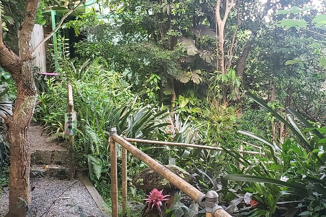 Nature and Sightseeing at Phantasea Tropical Botanical Garden - Why the small-group setup matters