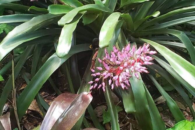 Nature and Sightseeing at Phantasea Tropical Botanical Garden - Who will enjoy this garden most?