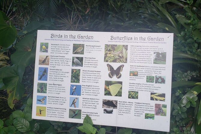 Nature and Sightseeing at Phantasea Tropical Botanical Garden - The one-hour garden visit