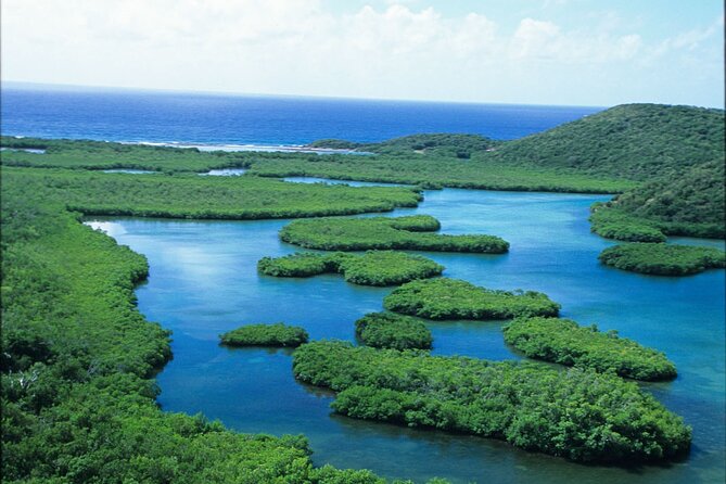 On Your Own: Kayak in the Mangrove Lagoon - Starting at 9:00 a.m. in the Mangrove Lagoon