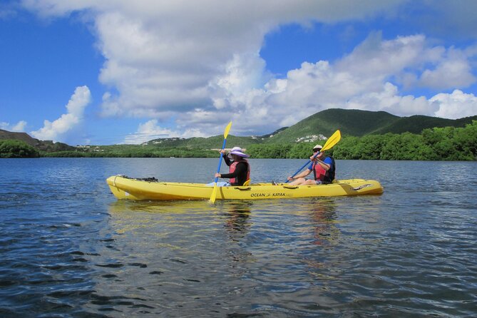 On Your Own: Kayak in the Mangrove Lagoon - A full seven hours at your own speed