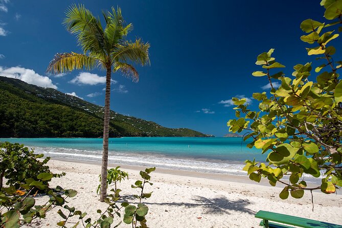 Paradise Taxi & Tours USVI-St.Thomas-Virgin Islands-Island Magen's Beach Tour - Key points to know before booking
