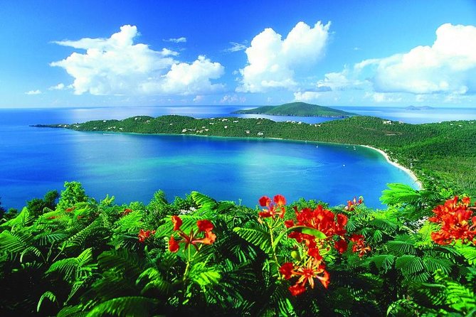 Paradise Taxi & Tours USVI - St. Thomas, Virgin Islands- Island Scenic Tour - What the $49 price gets you