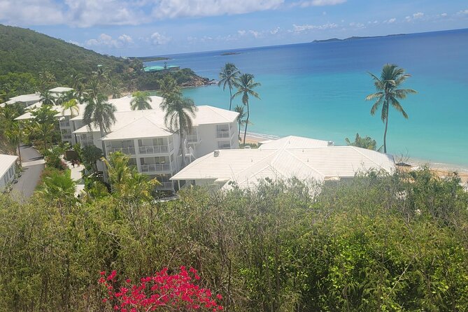 PARADISE TAXI & TOURS USVI-Transport Frenchmans Reef / Buoy Haus - Airport pickup and communication tips