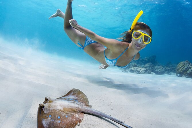 Private Full Day BVI Boat Charter Aboard MV Aquarius - Life aboard a 31-foot private powerboat