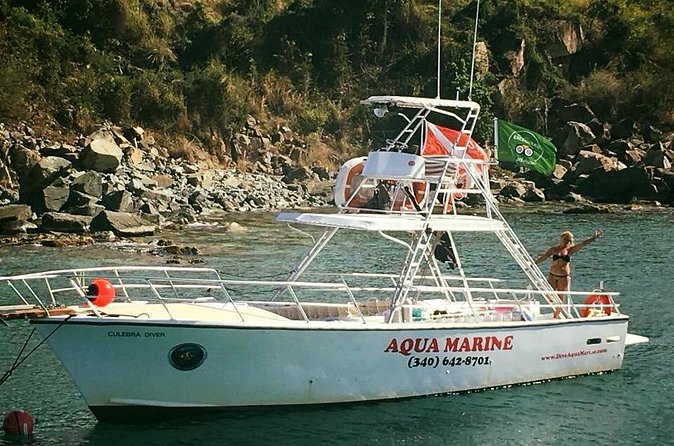 Private Full Day Guided Snorkeling or Diving Charter in St Thomas - Does the $3,225 price offer fair value?
