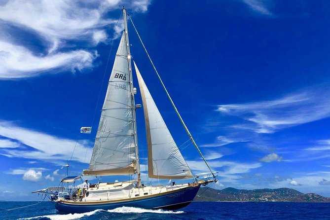 Private Full Day Sail/ Snorkel Experience USVI (Sapphire Marina, STT pick up) - Key points about sailing the Cosmos
