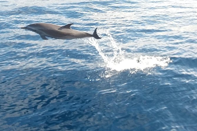 Private Full Day Sail/ Snorkel Experience USVI (Sapphire Marina, STT pick up) - Lunch prepared by Deb