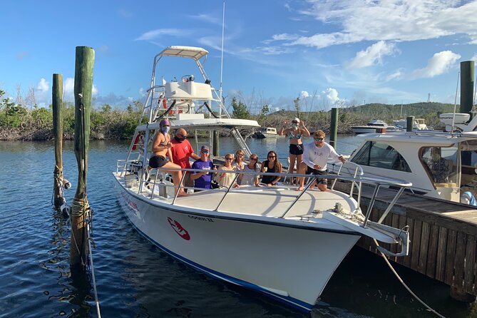 Private Half-Day Guided Snorkeling Charter in St. Thomas - Little St. James and its protected marine area