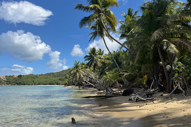 Private Open-Air Jeep Adventure with Tropic Sun –Hidden Beaches - Brewer’s Bay brings calm water and local character