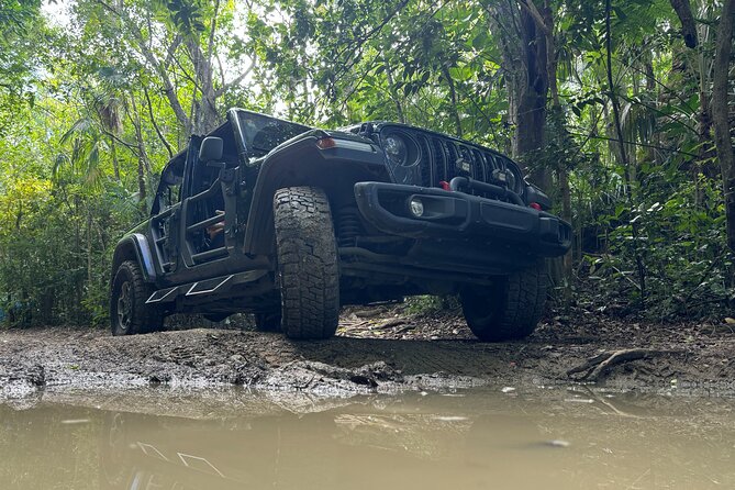 Private Open-Air Jeep Adventure with Tropic Sun –Hidden Beaches - Skyline Drive closes the scenic circuit