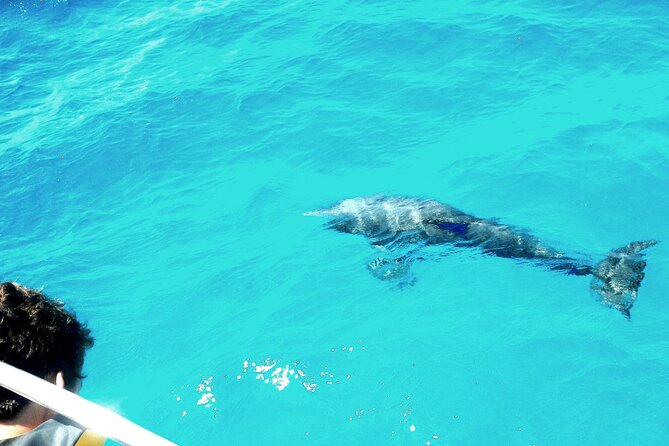 Private Sailing Tour of Pirate Waters and Shipwrecks - Key points to know before booking