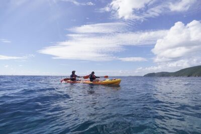 Reef and Turtle Adventure – Kayak and Snorkel Tour