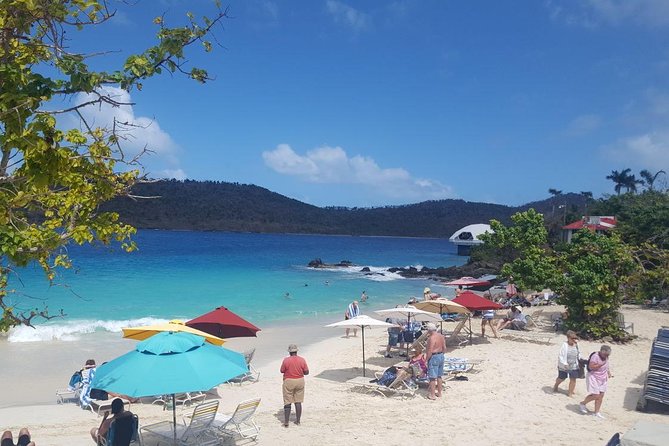 Round-Trip Transportation to Coral World Park and Coki Beach - Who will enjoy this experience most?