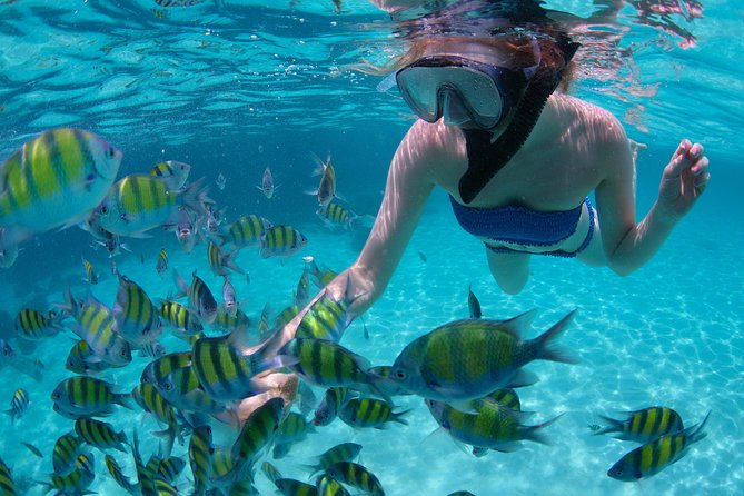Sail/Snorkel Adventure from Sapphire Marina,STT NO CROWDS~ 6 GUEST MAX - Why the six-person limit matters at Sapphire Marina