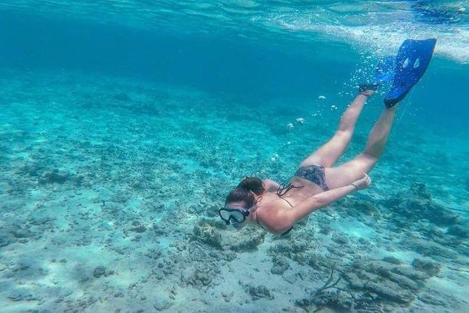 Sail/Snorkel Adventure from Sapphire Marina,STT NO CROWDS~ 6 GUEST MAX - About an hour in the water