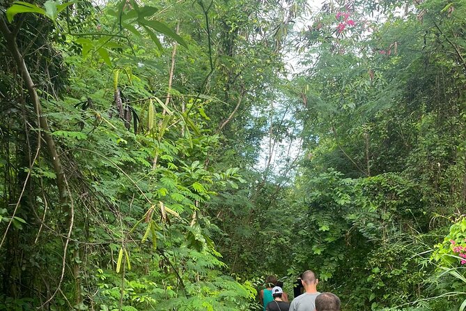 Santa Maria Beach Hike - Key points to know before you go