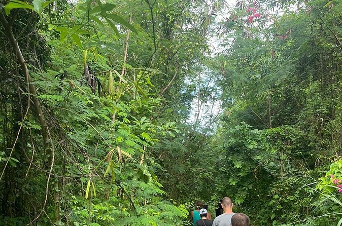 Santa Maria Beach Hike - Walking back through the valley