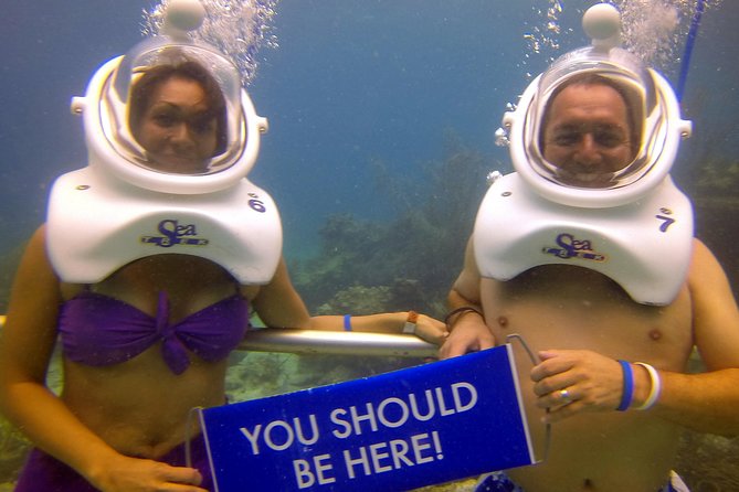 Sea Trek Helmet Dive at Coral World Ocean Park - What the Sea Trek experience actually feels like