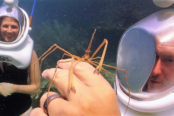 Sea Trek Helmet Dive at Coral World Ocean Park - Who will enjoy Sea Trek most
