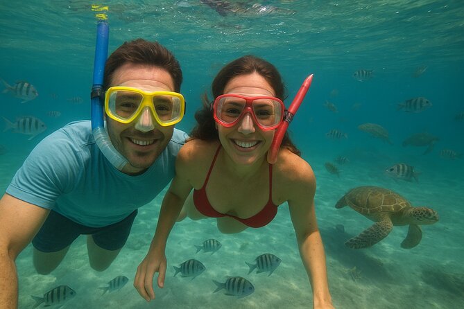 Sea Turtle Snorkel Tour - Finding Hawksbill and Green Sea Turtles