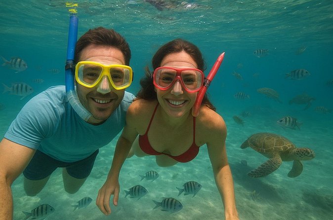 Sea Turtle Snorkel Tour - Entering the water at Turtle Cove Beach