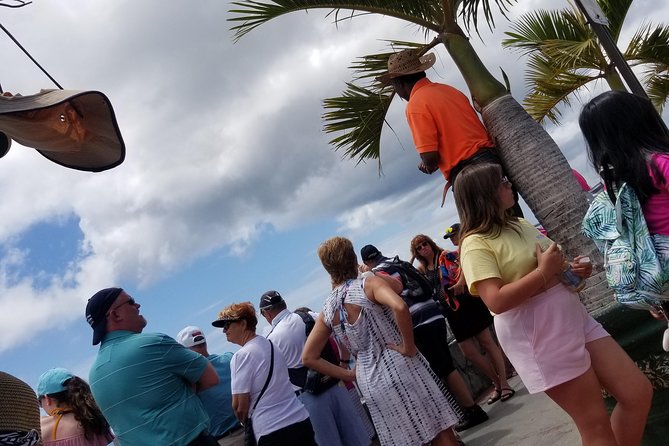 Shopping And Sightseeing Excursion - Charlotte Amalie: two hours for shops and old town sights