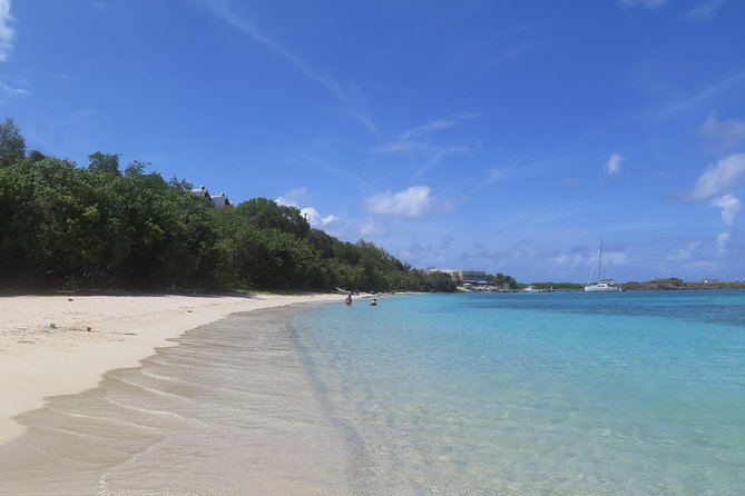 Small Group Sea Turtle Tour (Guaranteed to see turtles) - A quiet beach instead of a crowded excursion
