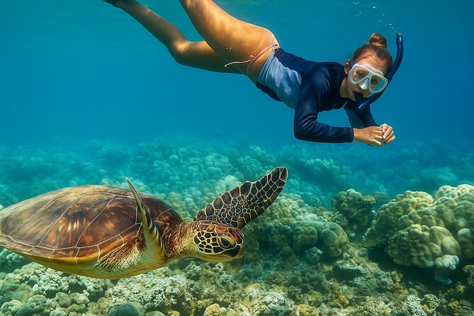 Snorkel and Sunset Cruise from Margaritaville Resort - A nearby cay for snorkeling, swimming, or sun