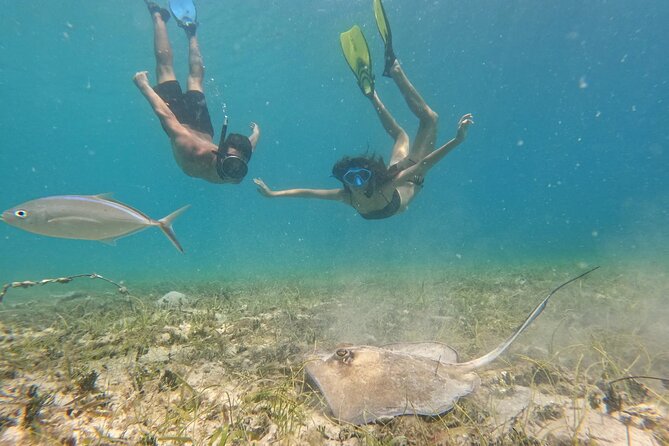 Snorkel St. John Tour from Sapphire and Margaritaville - A Six-Hour Route From St. Thomas to St. John