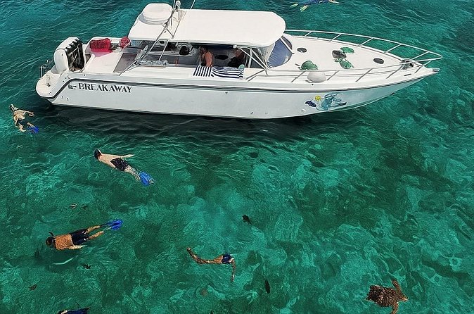 Snorkel St. John Tour from Sapphire and Margaritaville - Lunch, Dessert, and the Open Bar