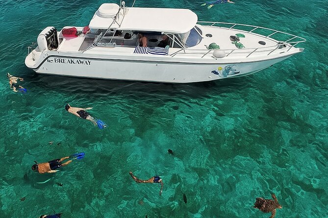 Snorkel St. John Tour from Sapphire and Margaritaville - The Crew Makes the Difference