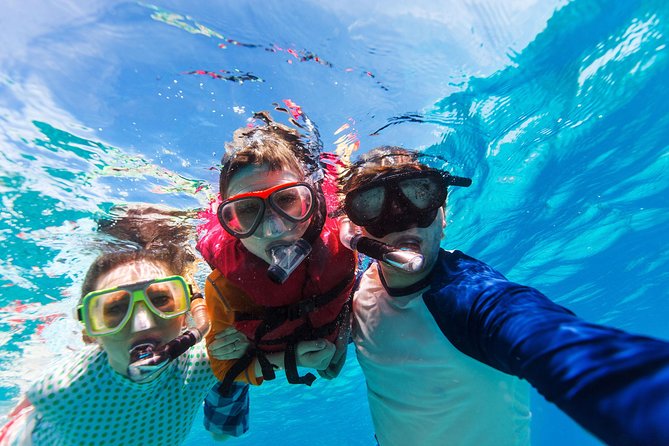 Snorkel & Swim with Turtles. Semi Private Tour to Buck Island & Honeymoon Beach - Captains Make a Real Difference