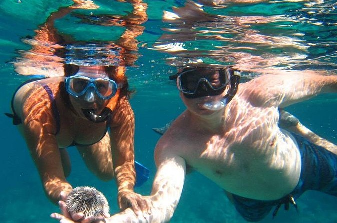Snorkel Tour - Getting comfortable with the gear