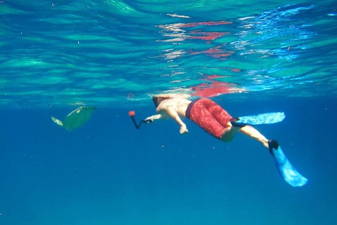 Snorkel Tour - The first 45-minute stop