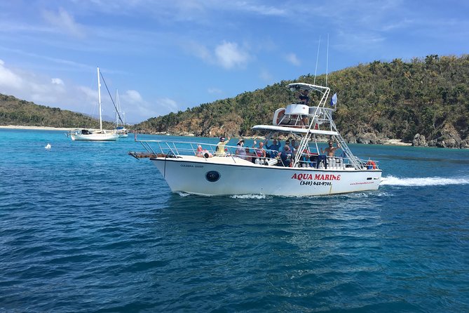 Snorkeling Adventure in St Thomas - First stop: coral, rays, and the search for turtles