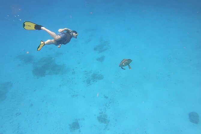 Snorkeling Gear Rental - Why a St. Croix Gear Rental Makes Sense